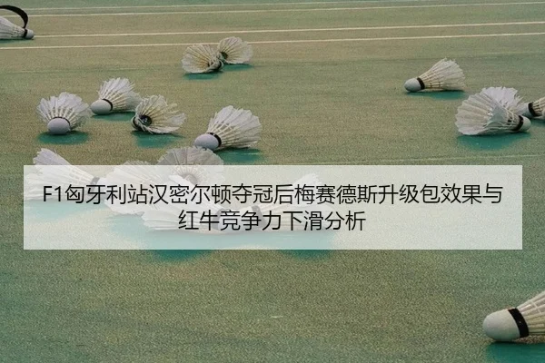 xiong-ya-li-zhan-han-mi-er-dun-duo-guan-hou-mei-sai-de-si-sheng-ji-bao-xiao-guo-yu-hong-niu-jing-zheng-li-xia-hua-fen-xi-3-598.jpg